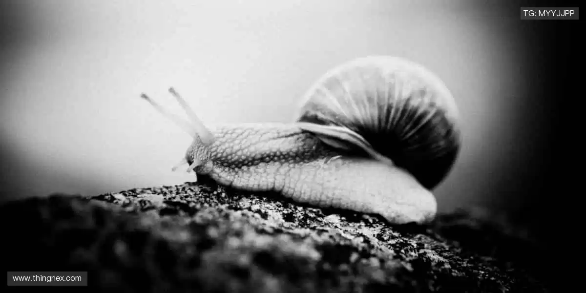 ⚡巅峰对决，心跳与欢呼同频！🏆